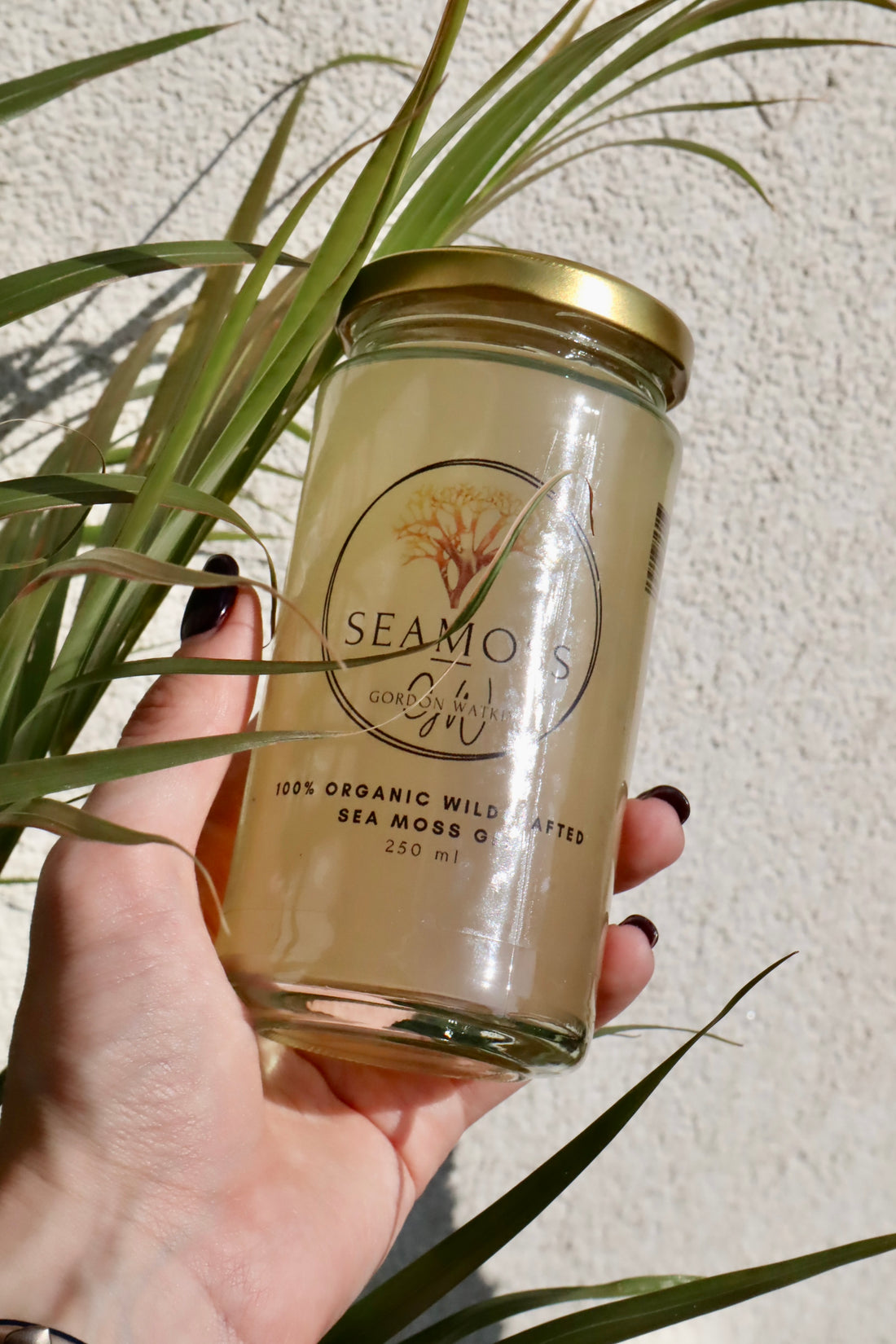 100% Organic Sea Moss Gel - Gordon Watkins Premium UK Health Foods