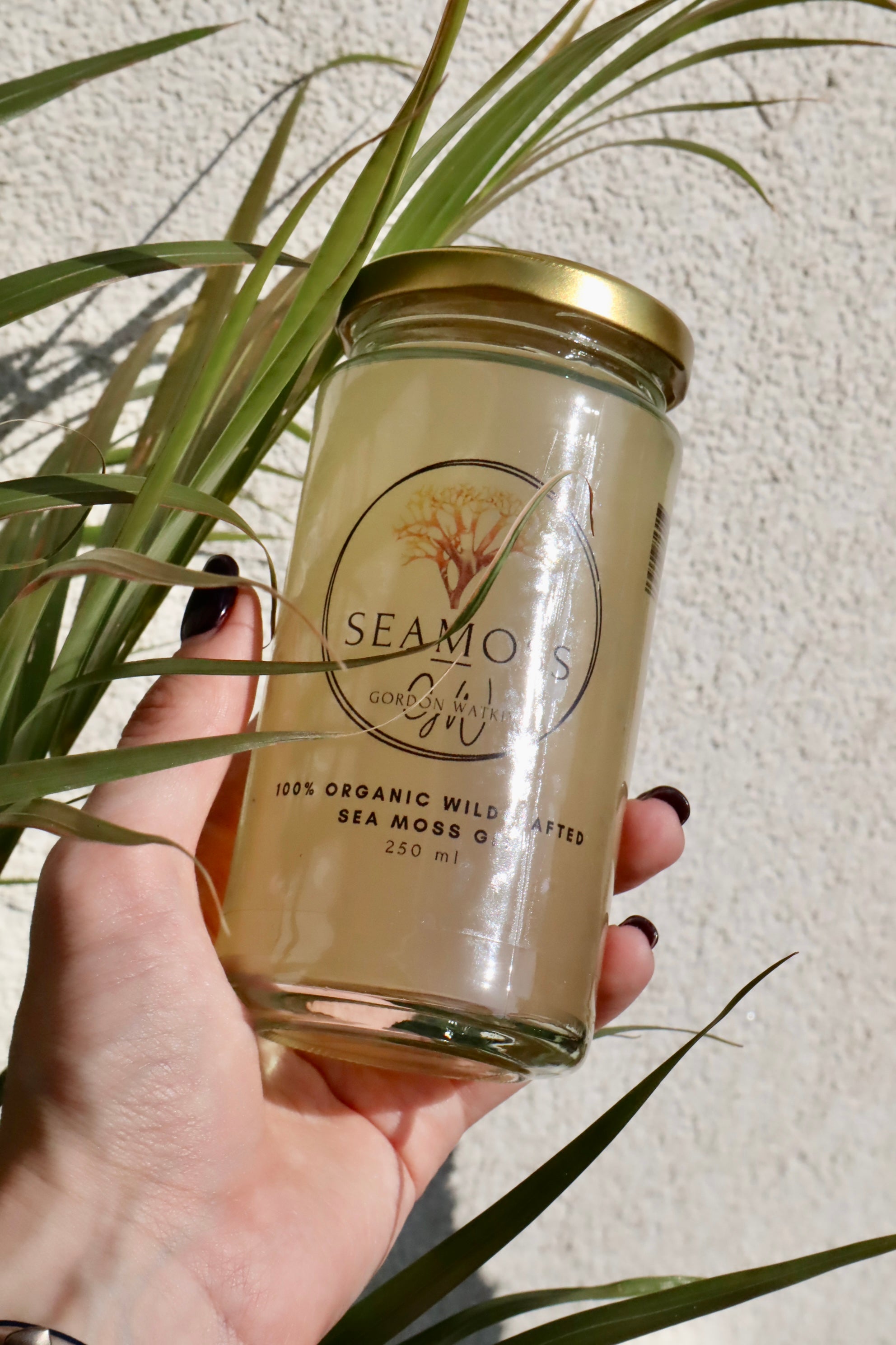 100% Organic Sea Moss Gel - Gordon Watkins Premium UK Health Foods