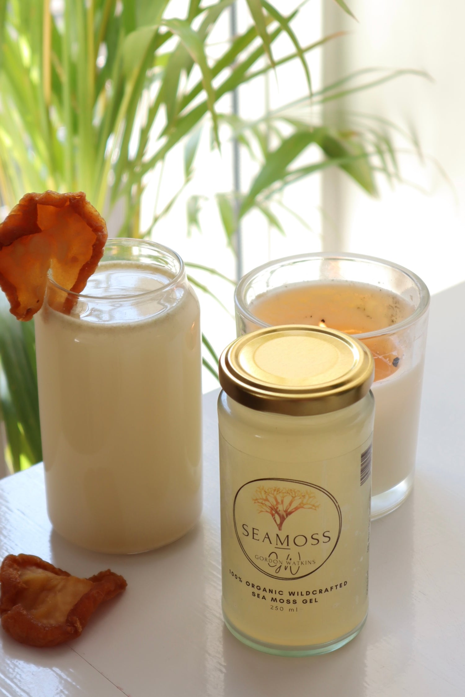 Organic Wildcrafted Golden Sea Moss Candles-Gordon Watkins UK