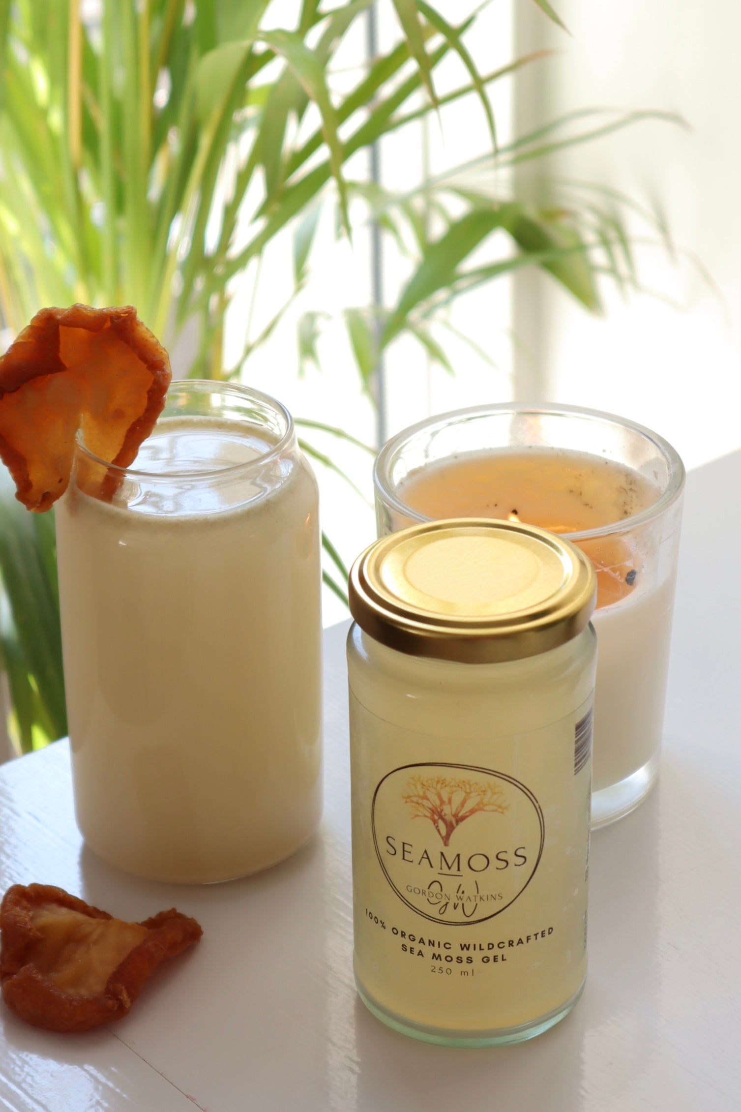 Organic Wildcrafted Golden Sea Moss Candles-Gordon Watkins UK