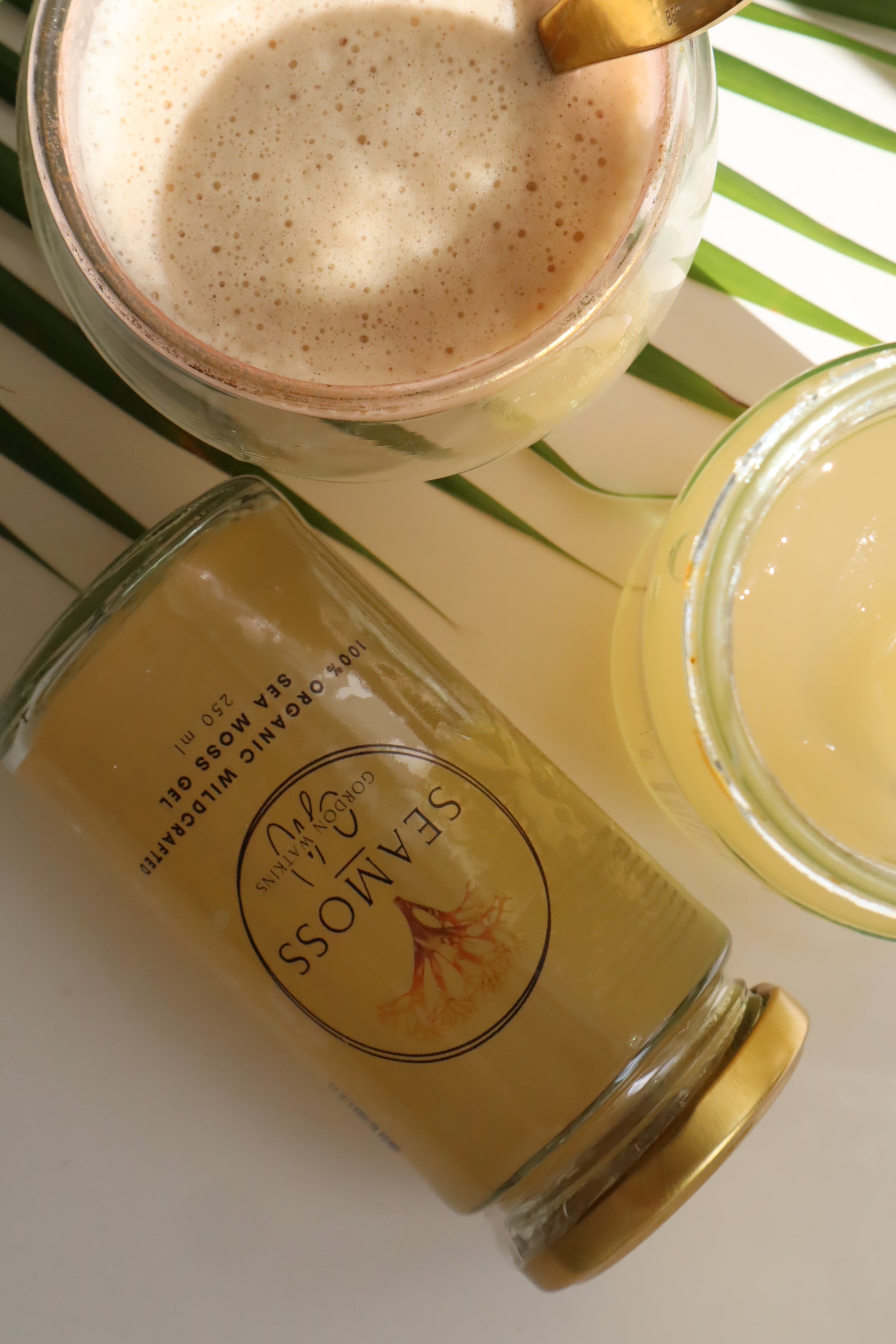 Gold Sea Moss Gel - Made With Certified Organic Wildcrafted Sea Moss