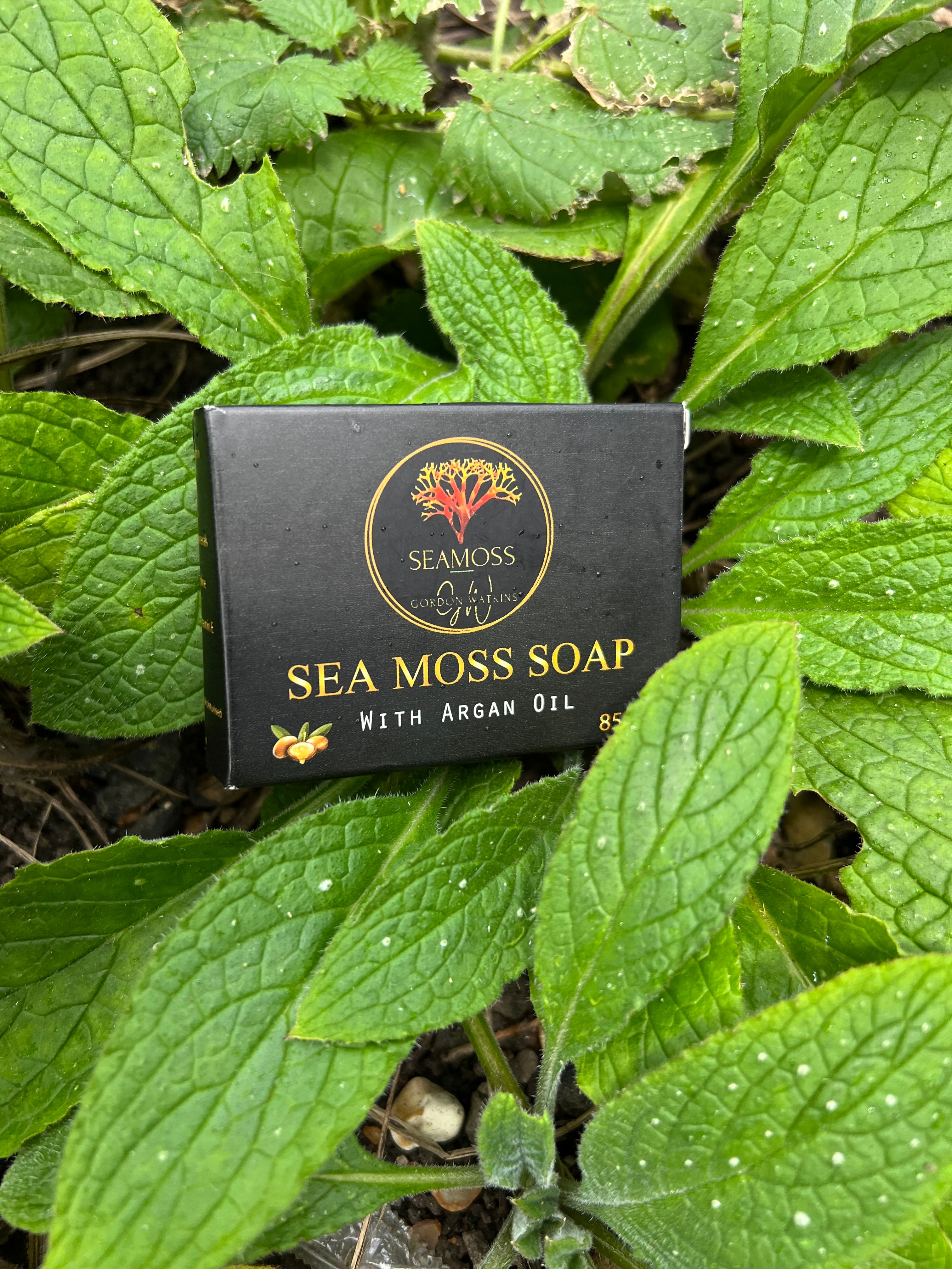 Sea Moss and Argan Oil Soap - Nourishing Vegan Skin Care (85g)