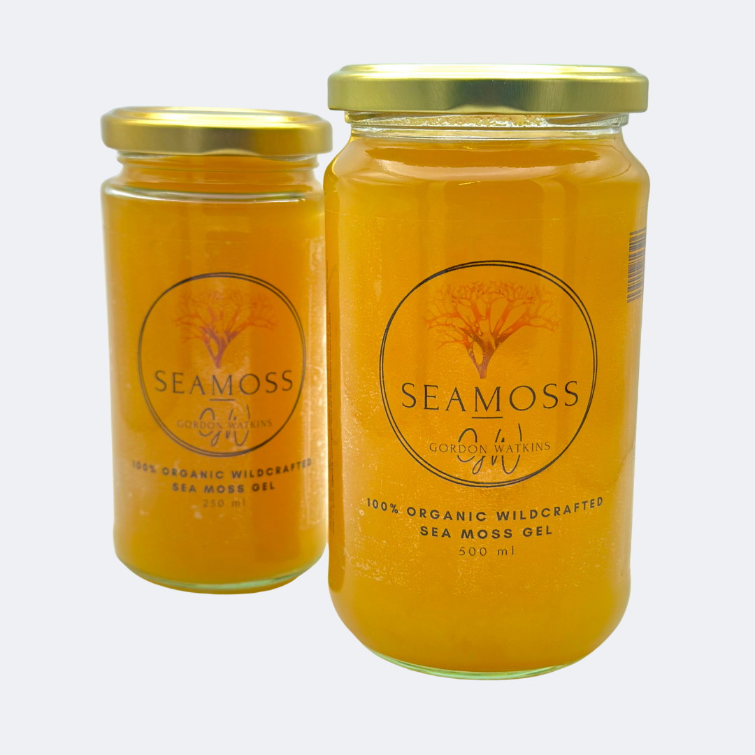 Gordon Watkins Sea Moss Gel UK - Honey Turmeric Ginger Flavoured Sea Moss Gel Jar